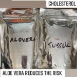 The Power of Aloe Vera and Guggul Extract: A Natural Solution for Health and Wellness