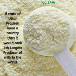 Colostrum Powder Igg 24%