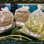 Amla, NONI and Wheat Grass Extract