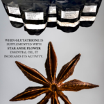 Supplementing Shikimic Acid from Star Anise increases activity of Glutathione