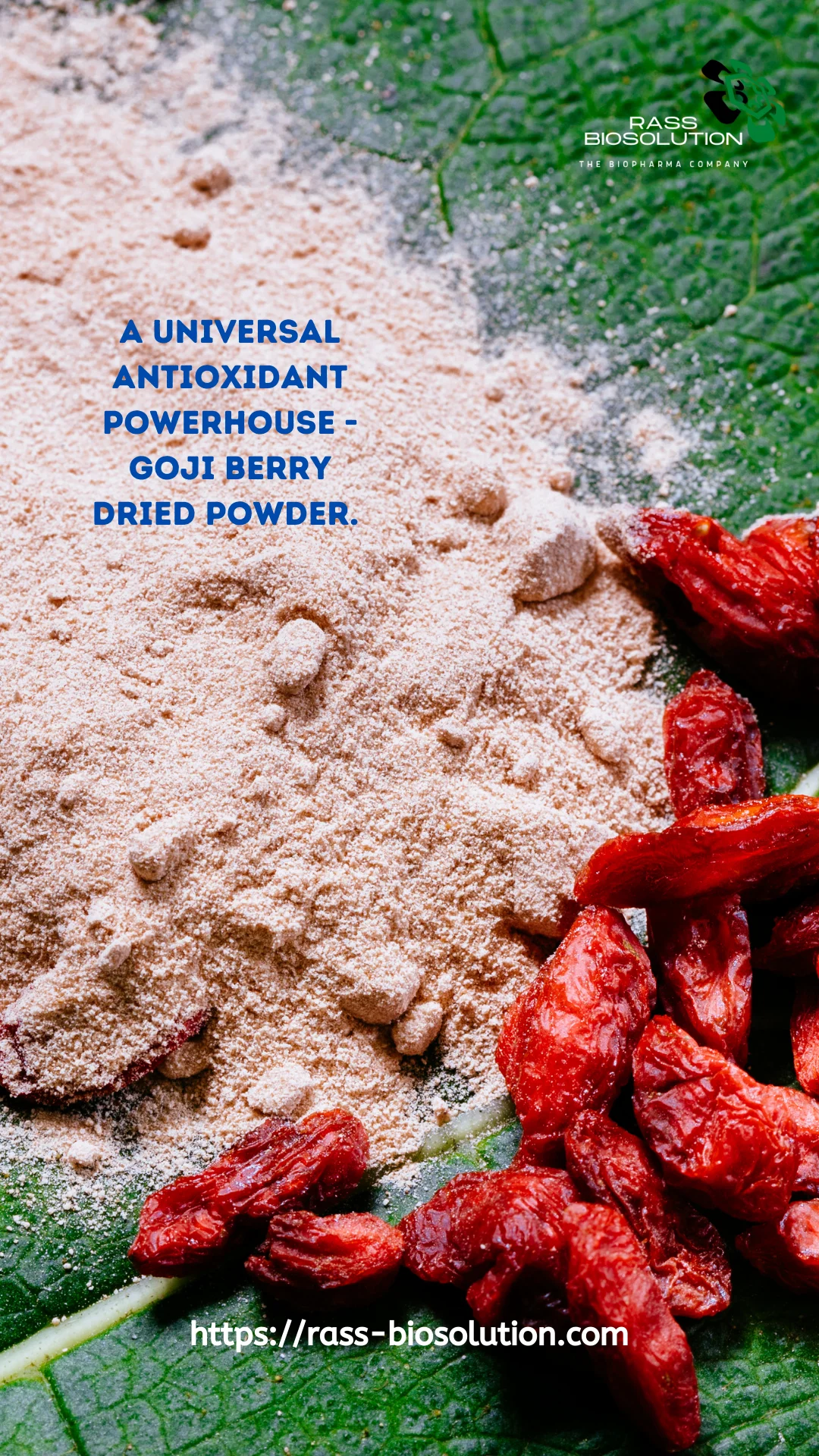 Goji berry dried powder