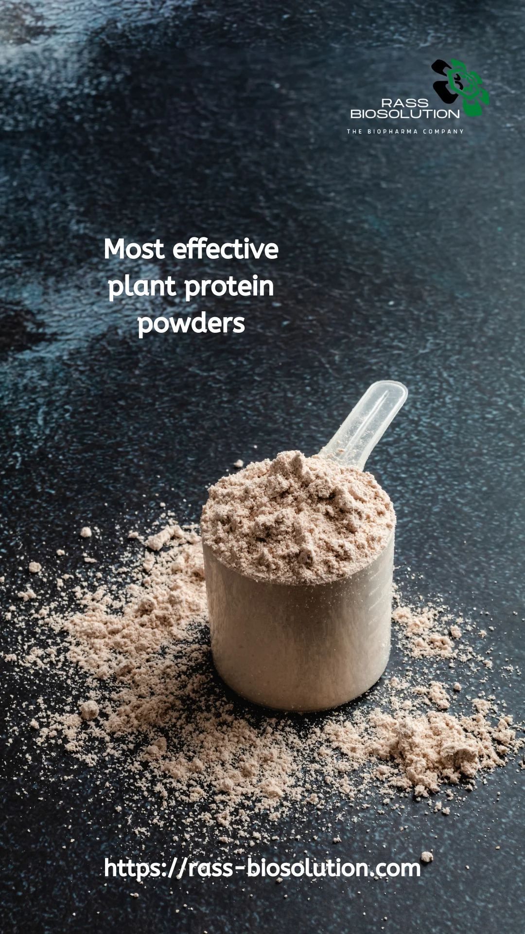 Plant protein powder