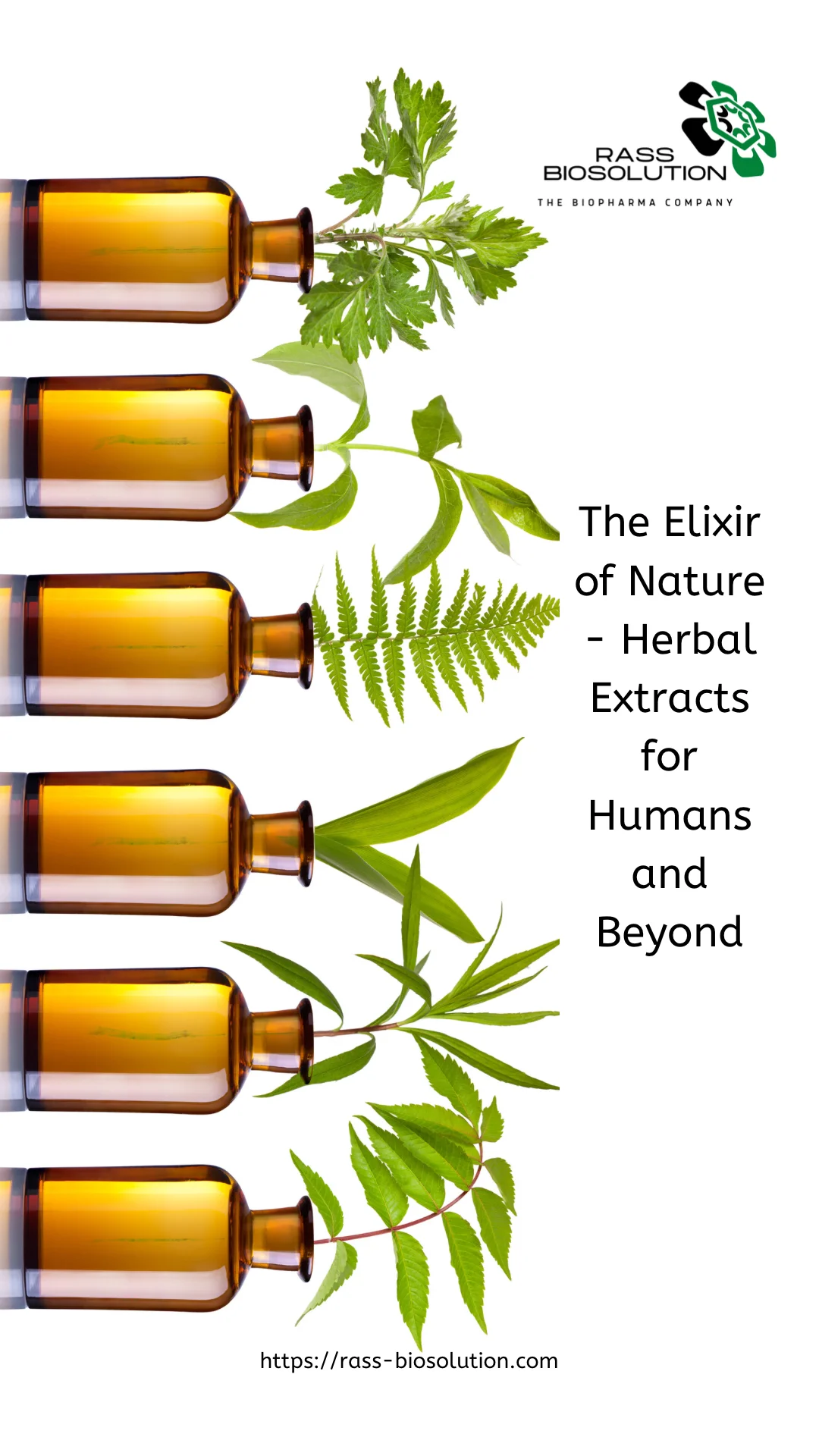 Herbal Extracts for Humans and Beyond