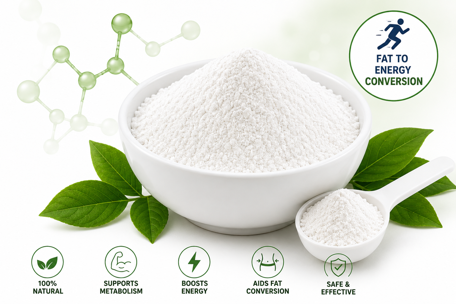 L-Carnitine Powder