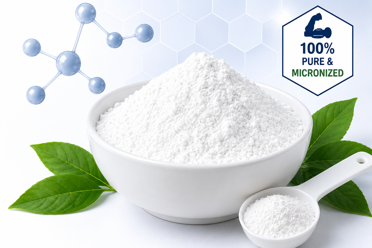 Creatine Powder